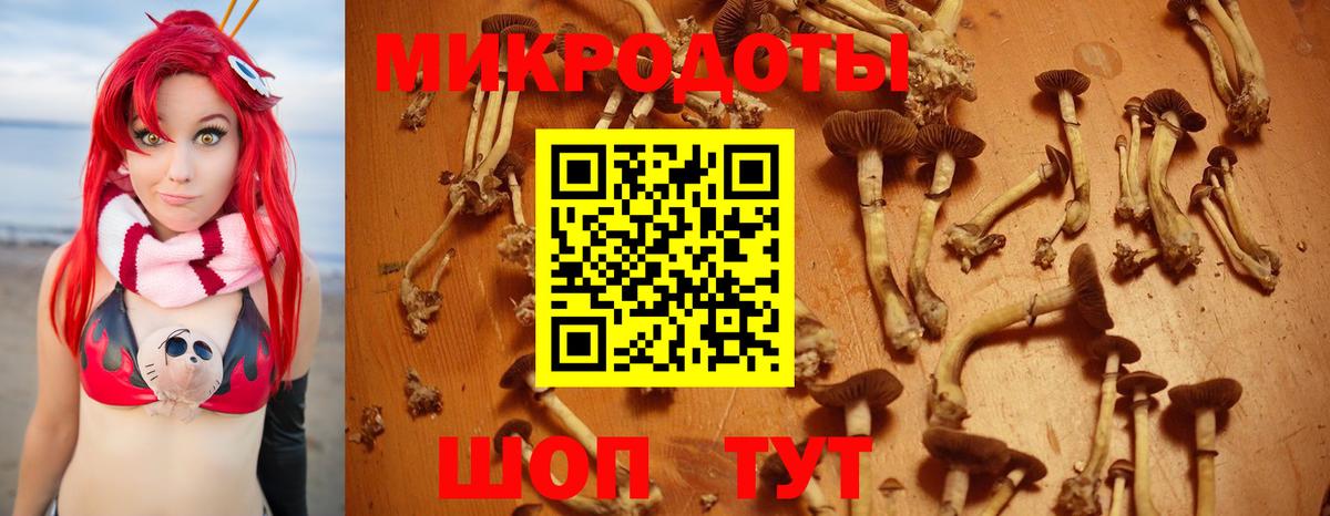 Галлюциногенные грибы Magic Shrooms  Вход с VPN  Азов 