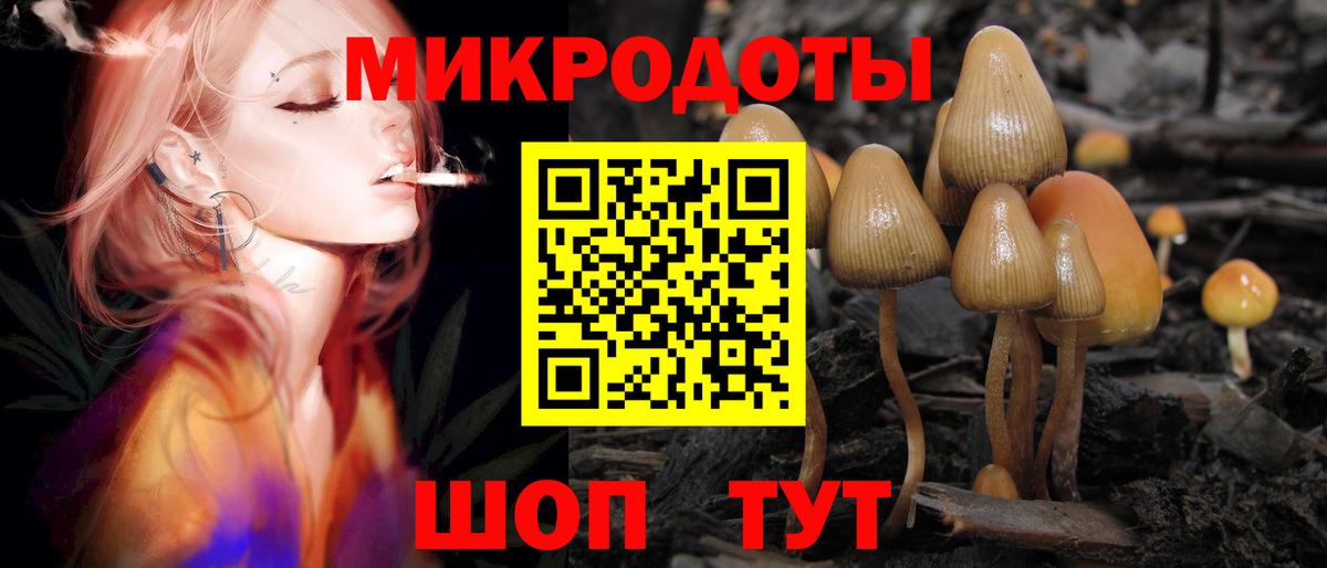 Галлюциногенные грибы мицелий Азов